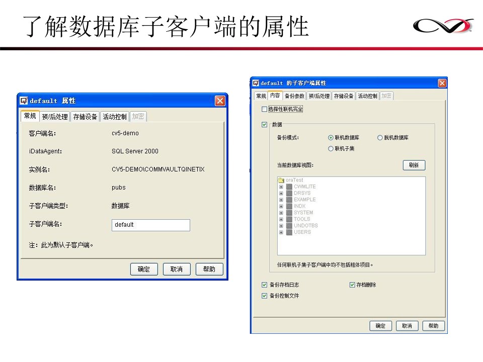 CommVault备份解决方案Galaxy备份介绍(图86)